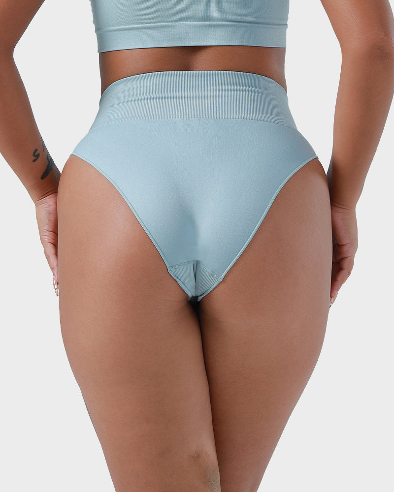 High Waist Seamless Tummy Control Brief Panty