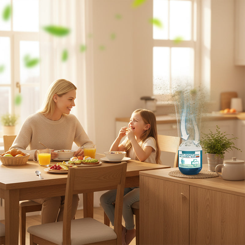 ⏰Indoor Air Purification Dust Removal Magic Box🏠Bringing health to the family.